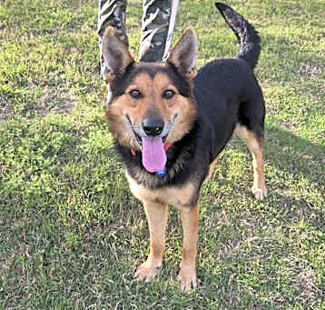Photo of Buddy