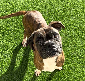 Photo of Chloe