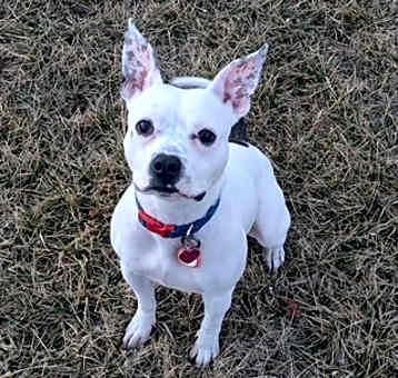 Photo of Freckle