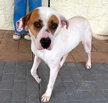 Photo of Beverly