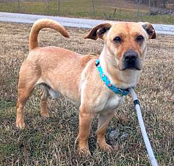 Photo of Buddy