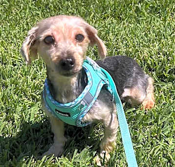 Photo of Delilah