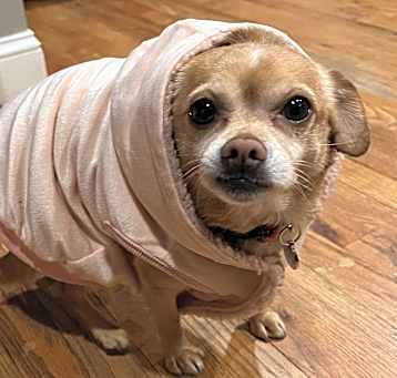 Photo of Rupert