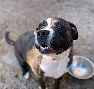 Photo of Cosmo