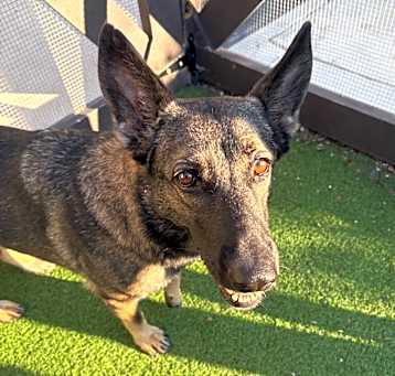 Photo of Bella 6288