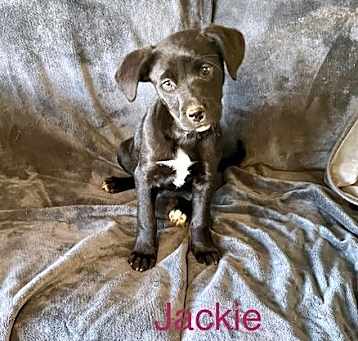Photo of Jackie