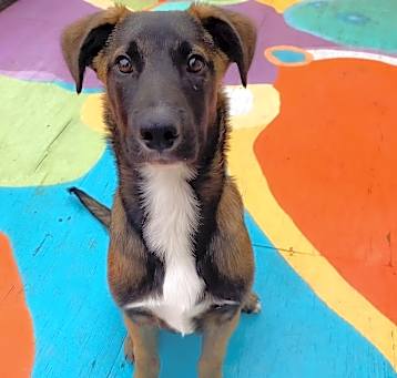 Photo of Murphy