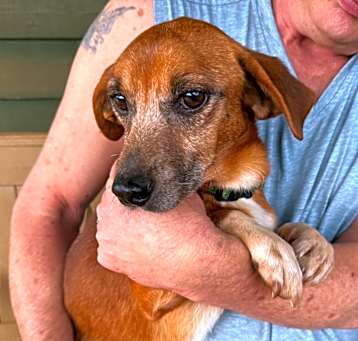 Photo of Woody
