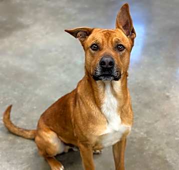 Photo of Kaos