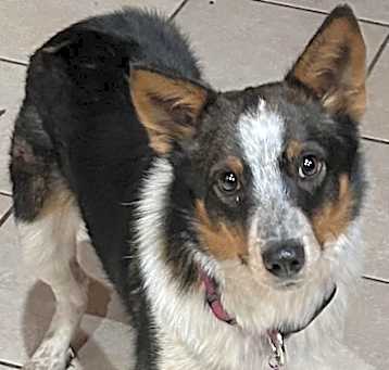 Photo of TALTY