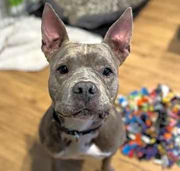 Photo of DIAMOND