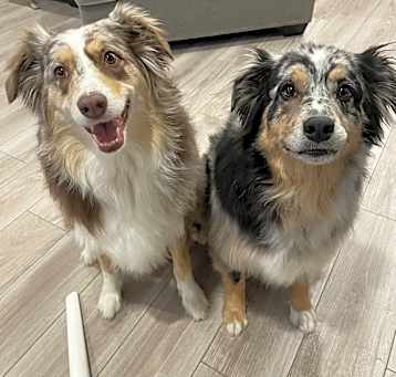 Photo of Emmie and Ollie