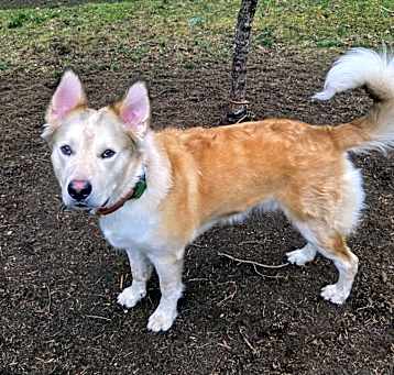 Photo of Junior
