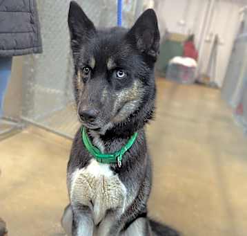 Photo of Korra