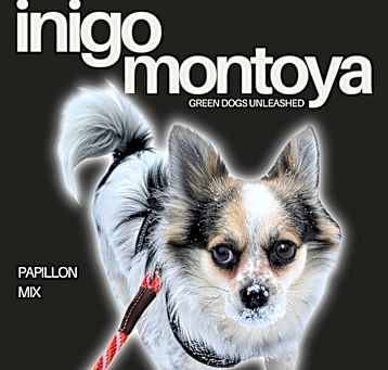 Photo of Inigo Montoya