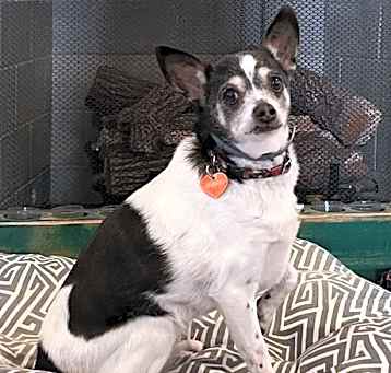Photo of Miss Bonnie