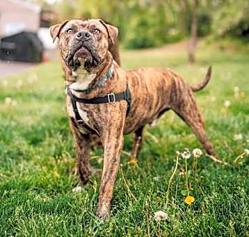 Photo of Murphy
