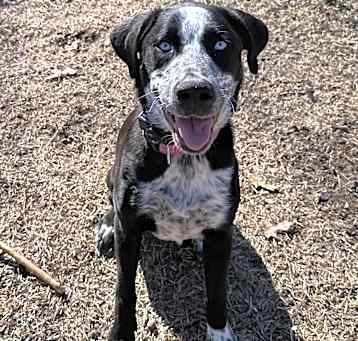 Photo of Missy