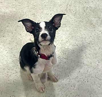 Photo of Olivia
