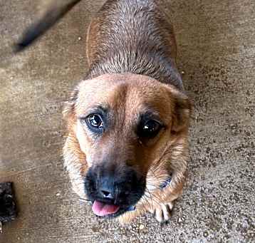 Photo of Oso