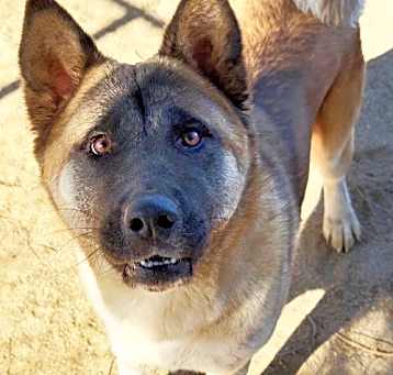 Photo of Kisha
