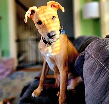 Photo of Max
