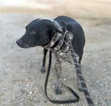 Photo of ABBY