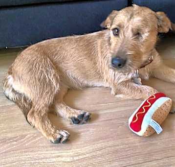 Photo of Annie
