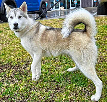 Photo of Maya