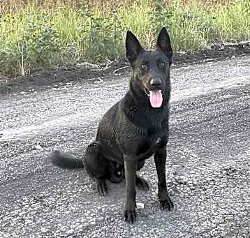 Photo of Bukele