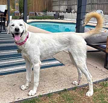 Photo of Peyton DFW