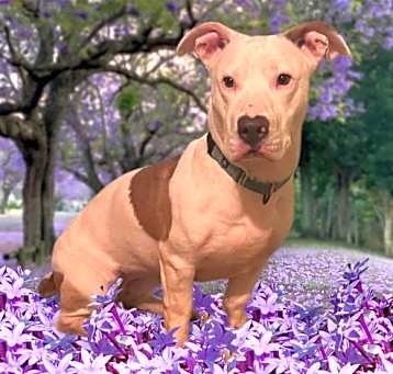 Photo of Molly