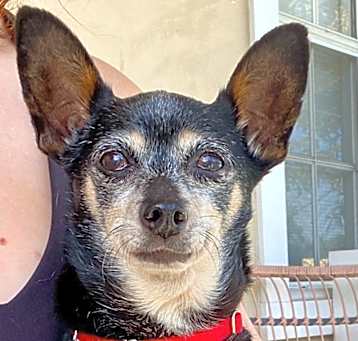 Photo of Betsy