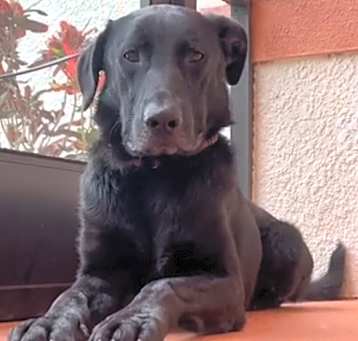 Photo of Vier