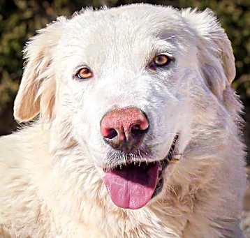 Photo of Beautiful Ms Blanche ~ Sublime