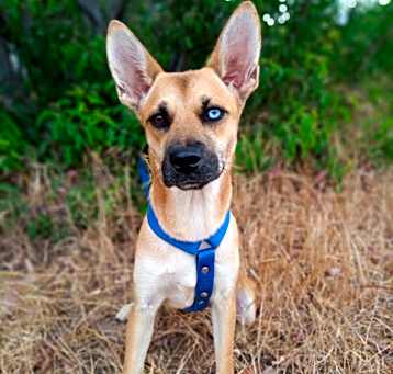 Photo of Bonnie