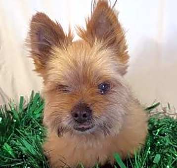 Photo of Jenny