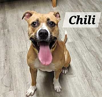 Photo of Chili