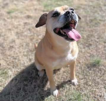 Photo of Rudy