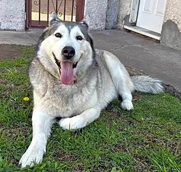 Photo of Yuki