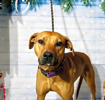 Photo of Mabel