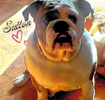 Photo of Sutton