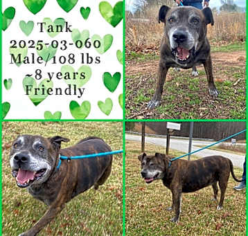 Photo of 2025-03-060 *Tank*