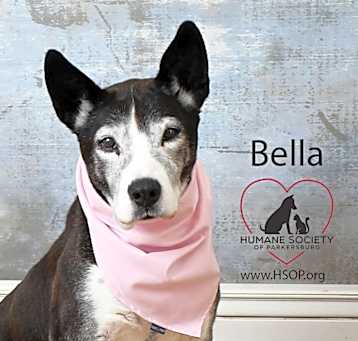 Photo of Bella
