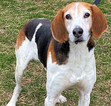 Photo of Bucky