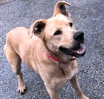 Photo of Charm