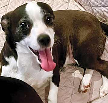 Photo of MOLLY