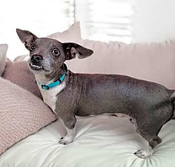 Photo of Ralph