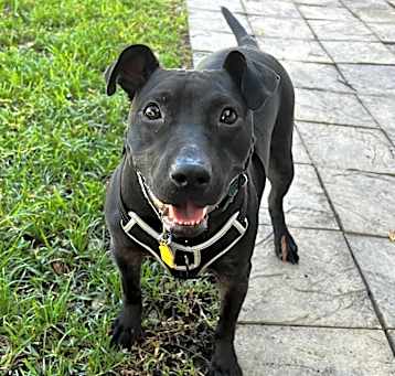 Photo of Della