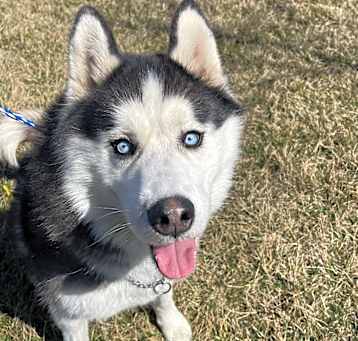 Photo of Kato